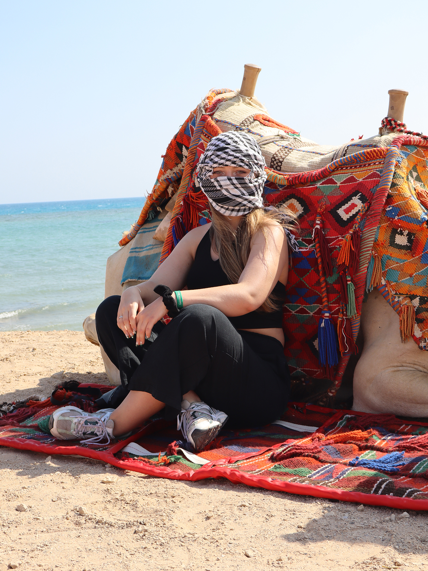 Horses & Camels