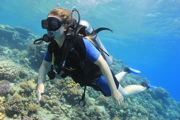 Intro Diving