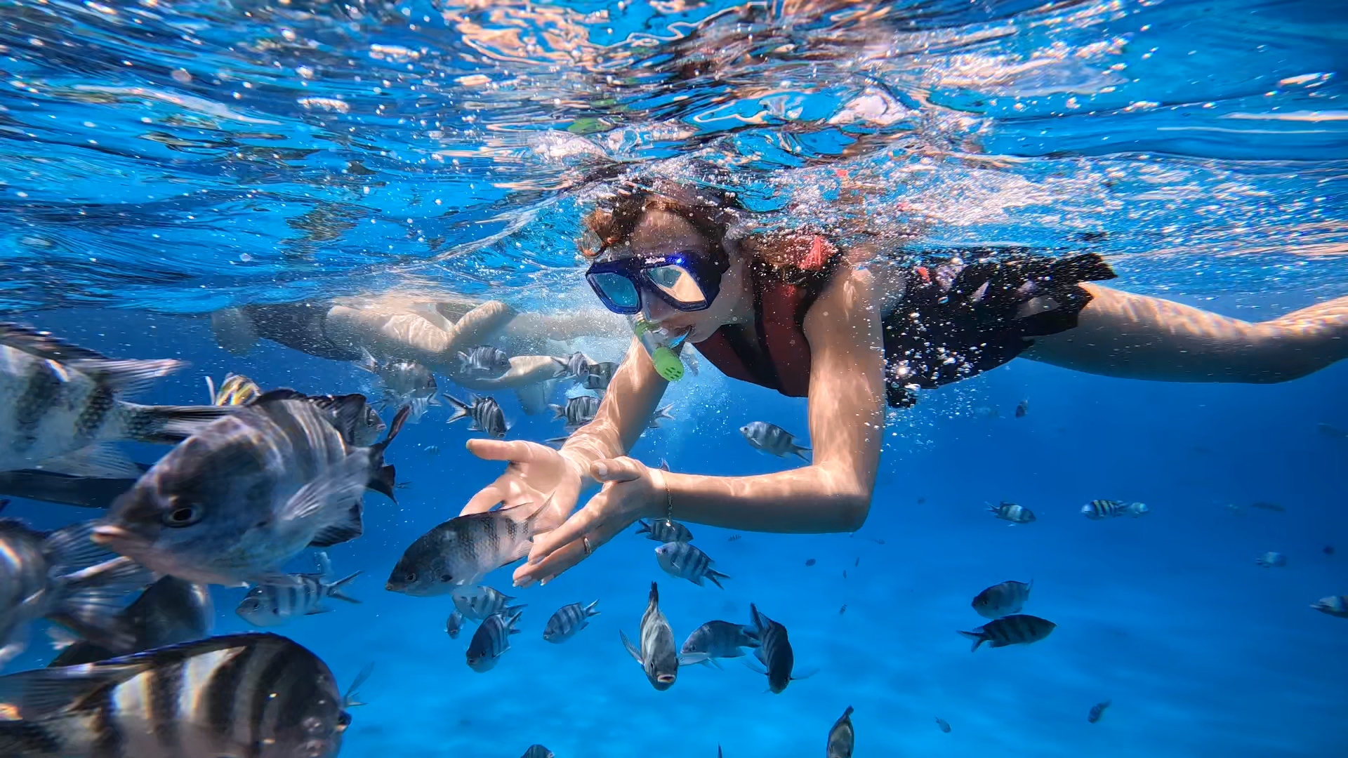 Snorkeling & Diving