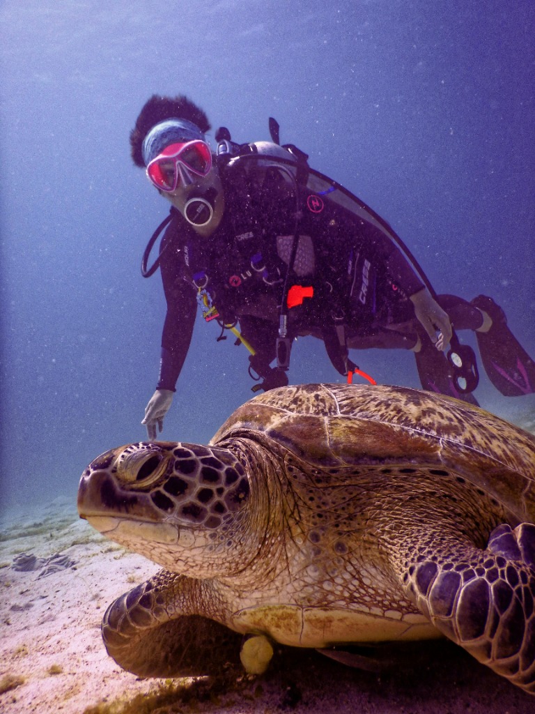 Schnorcheln mit Schildkröten