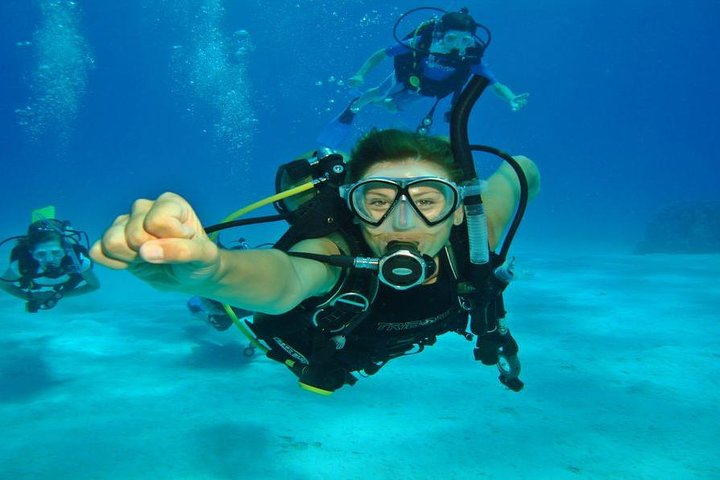 Dive Deeper into the Underwater World