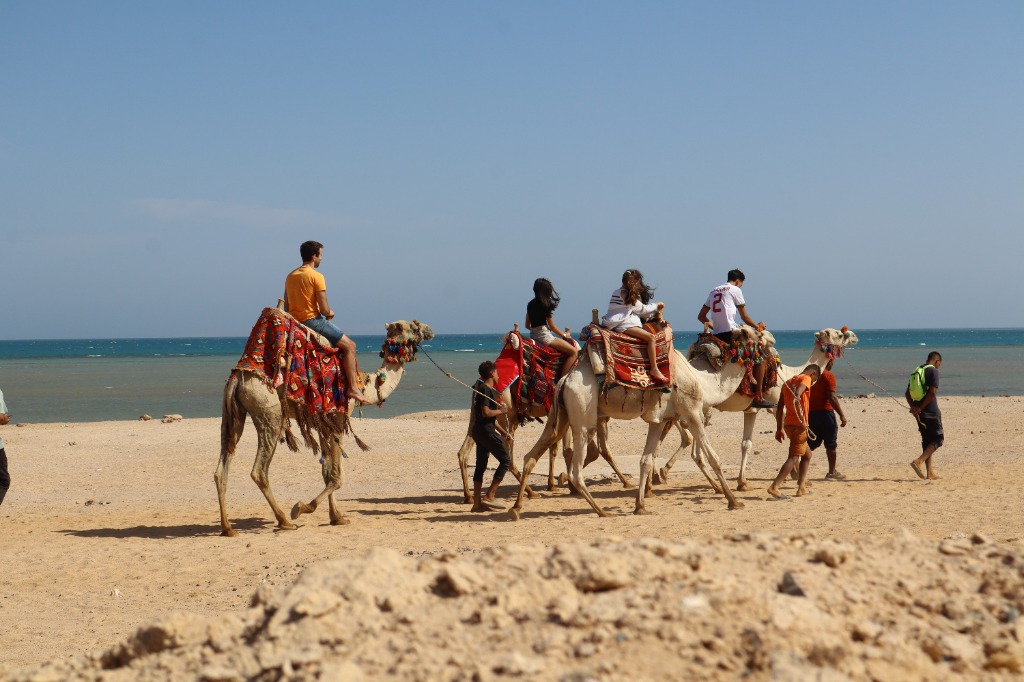 Kamelreiten 1 Stunde am Strand Hurghada