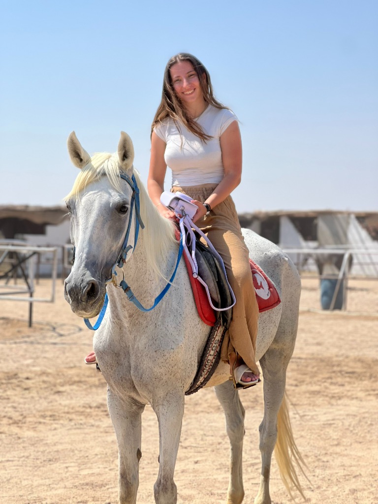Pferde Hurghada